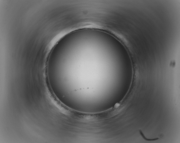 X0000111461375200907131444