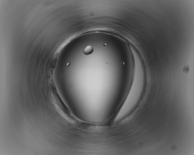 X0000111461377200907131444