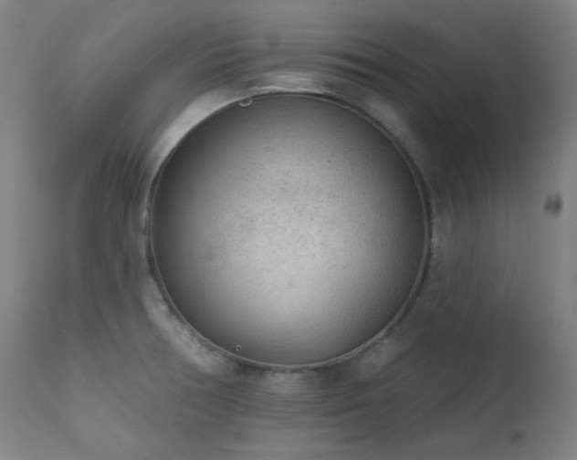 X0000111461378200907131444