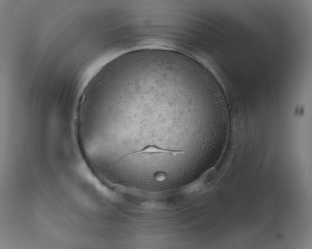 X0000111461379200907131444