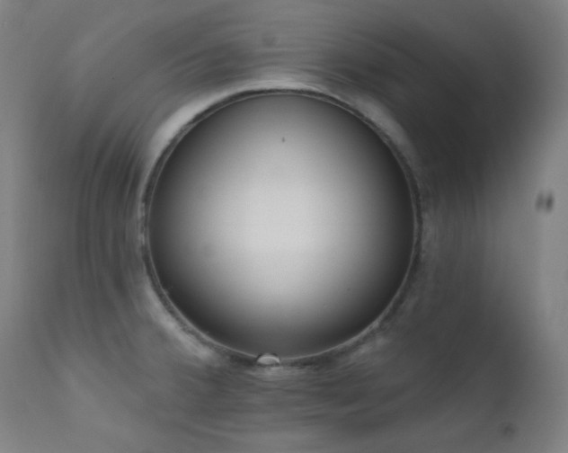 X0000111461380200907131444