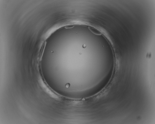 X0000111461381200907131444