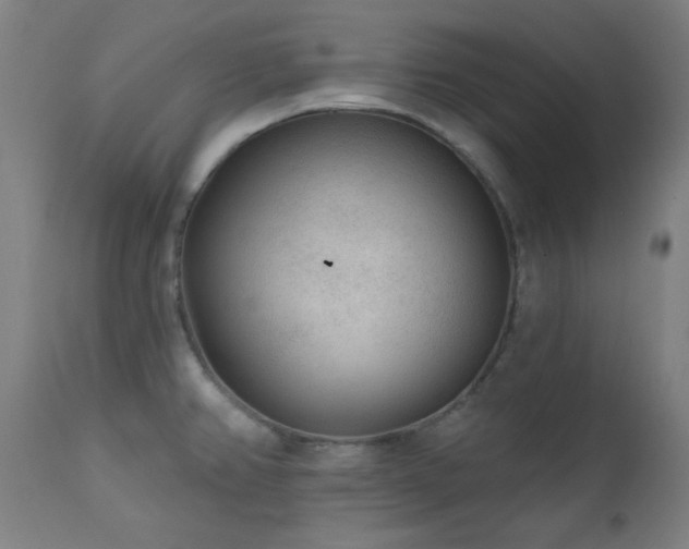 X0000111461382200907131444