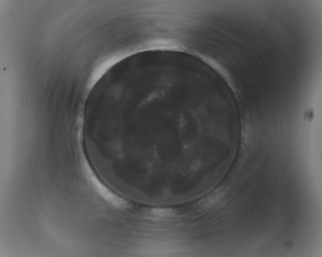 X0000111461383200907131444