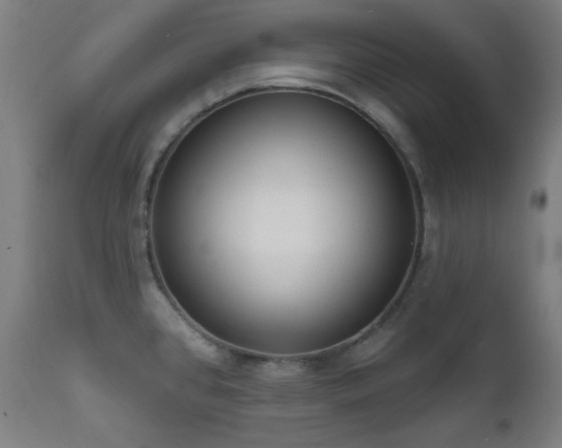X0000111461384200907131444