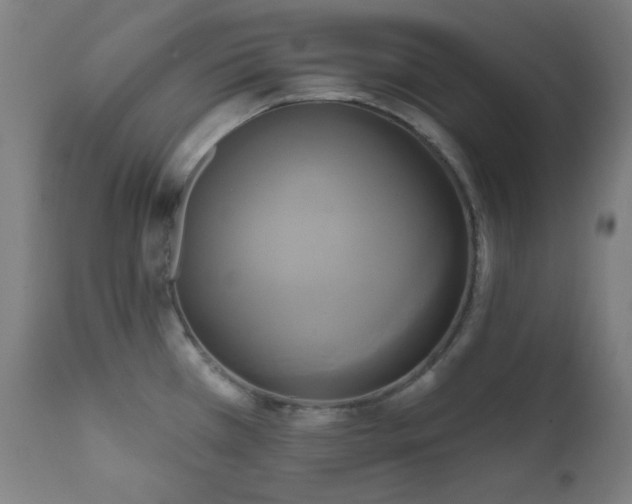 X0000111461385200907131444
