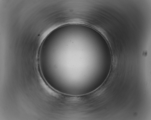 X0000111461387200907131444
