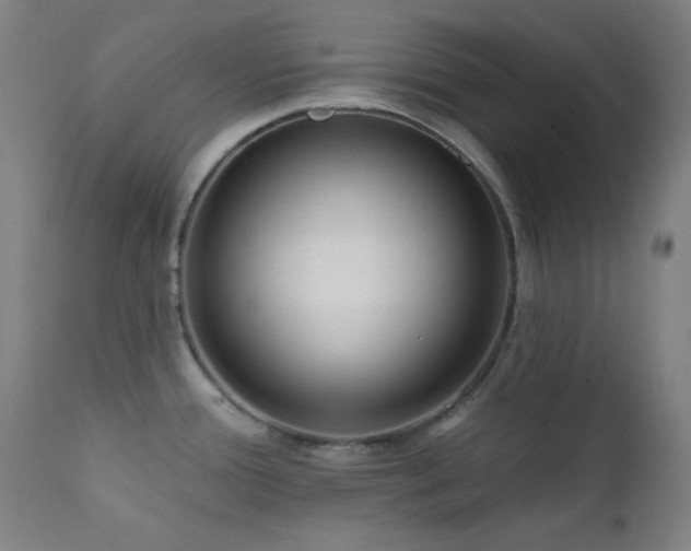 X0000111461388200907131444