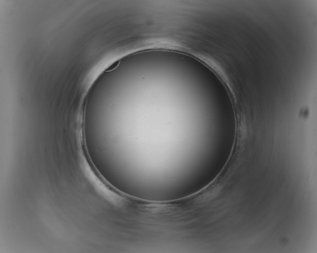 X0000111461391200907131444