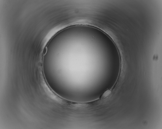 X0000111461392200907131444