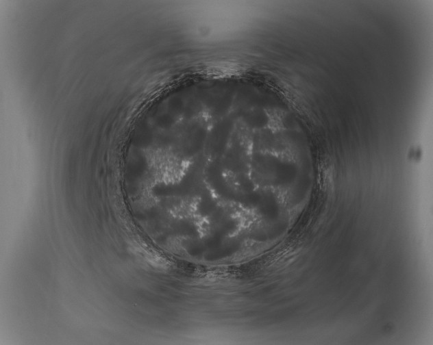 X0000111461393200907131443