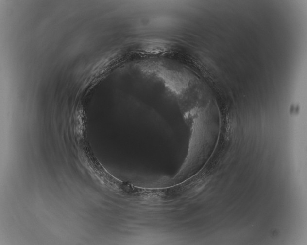 X0000111461394200907131443