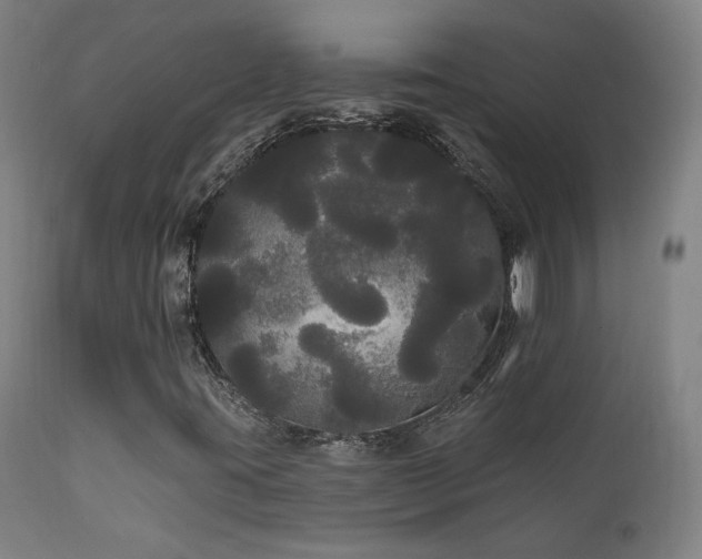 X0000111461395200907131443