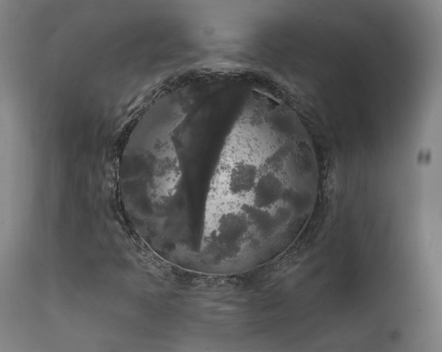 X0000111461397200907131443