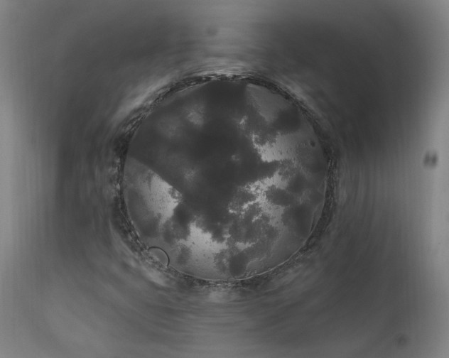 X0000111461399200907131443