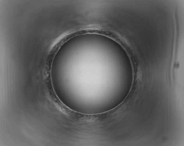 X0000111461400200907131443