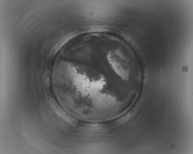 X0000111461401200907131443