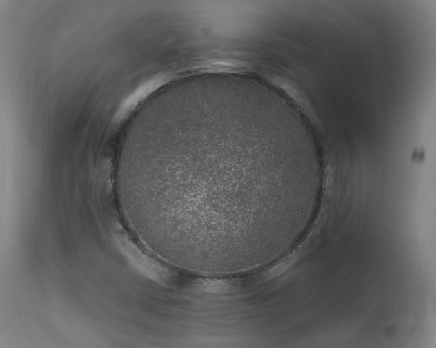 X0000111461402200907131443