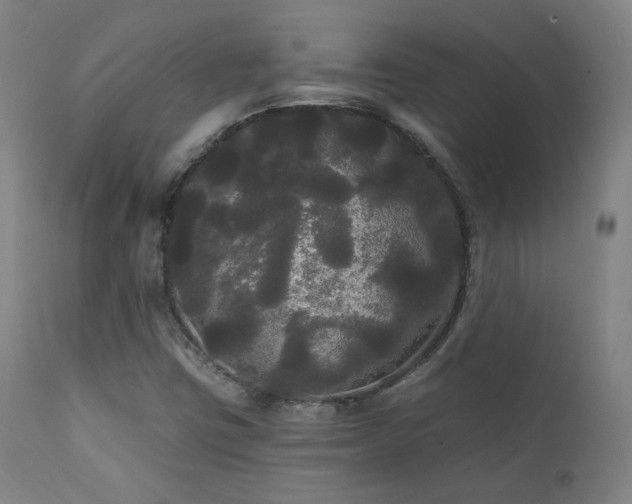 X0000111461403200907131443