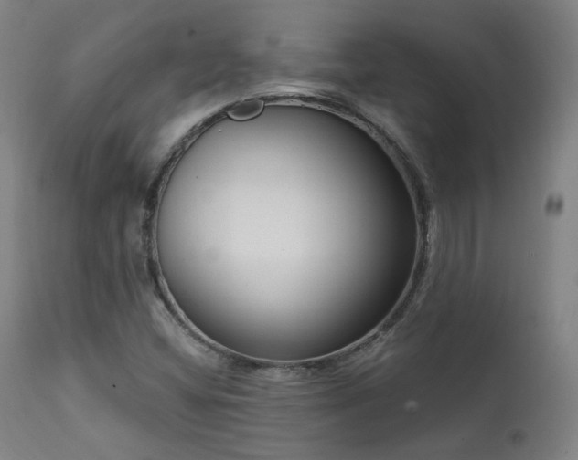 X0000111461404200907131443