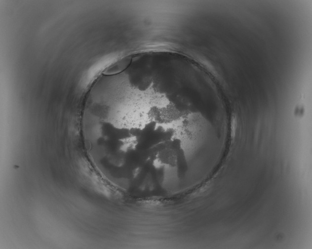 X0000111461405200907131443