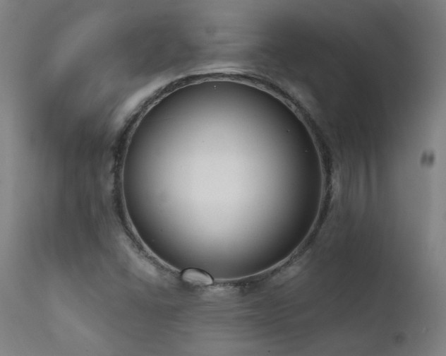 X0000111461406200907131443
