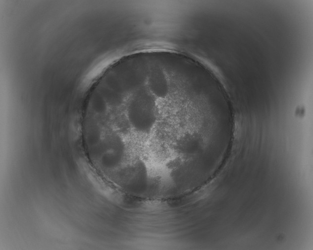 X0000111461407200907131444