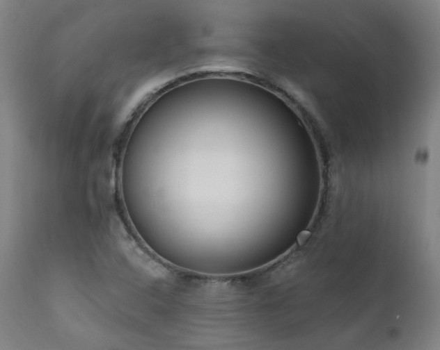 X0000111461408200907131444