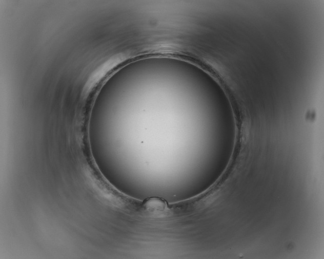 X0000111461410200907131444
