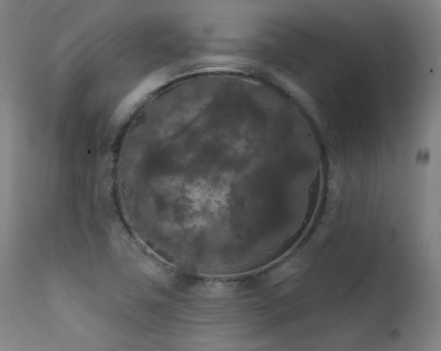 X0000111461411200907131444