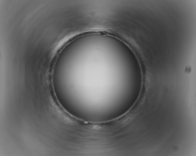 X0000111461412200907131444