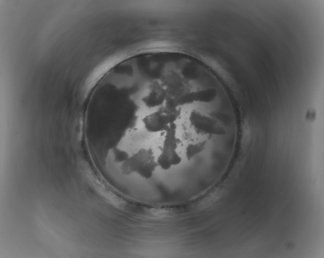 X0000111461413200907131444