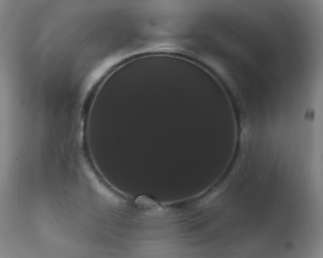 X0000111461414200907131444