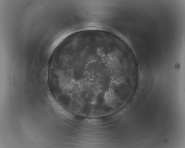 X0000111461415200907131444