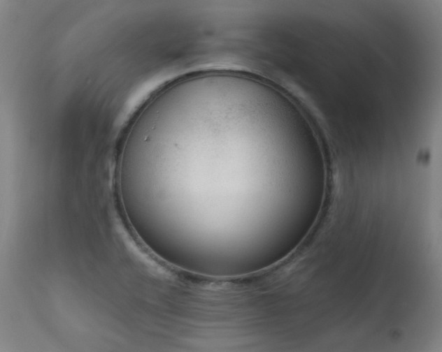 X0000111461416200907131444