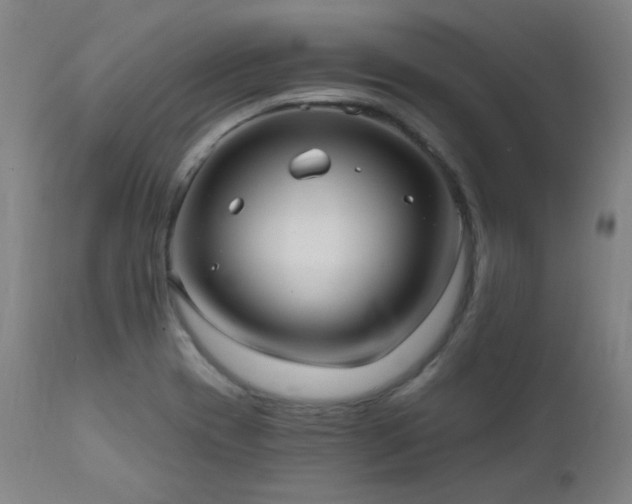 X0000111461417200907131444