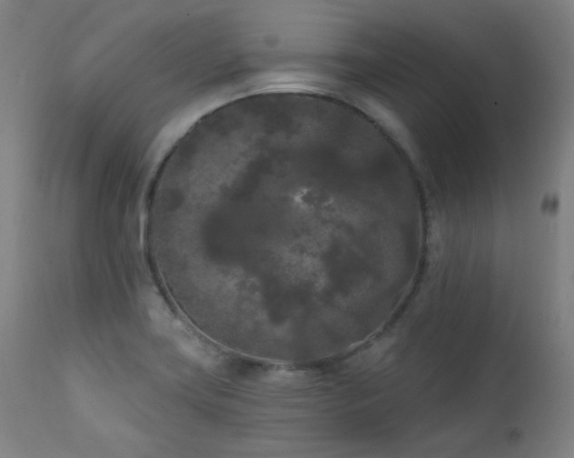 X0000111461419200907131444
