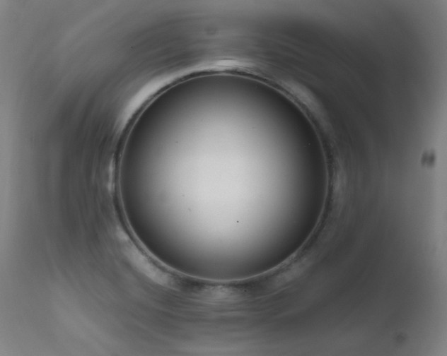 X0000111461420200907131444