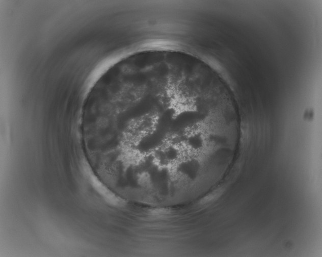 X0000111461421200907131444