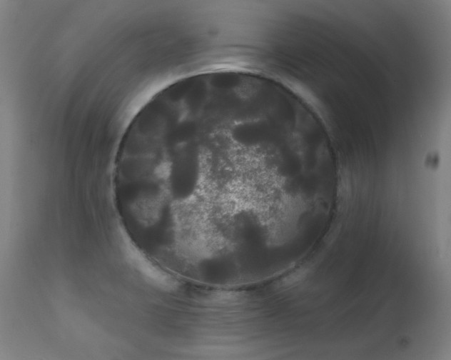 X0000111461423200907131444