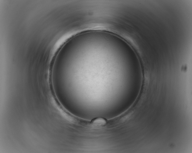 X0000111461424200907131444