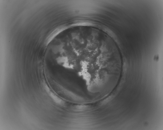 X0000111461425200907131444