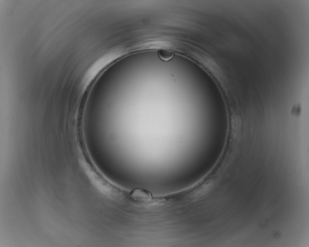 X0000111461426200907131444