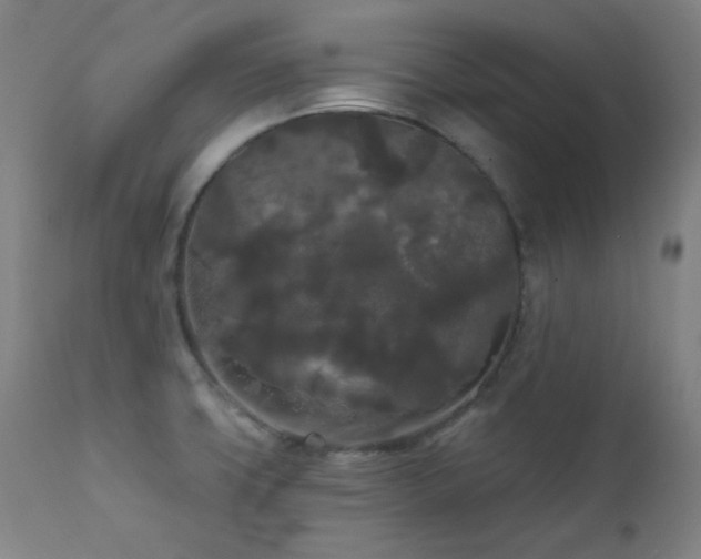 X0000111461427200907131444