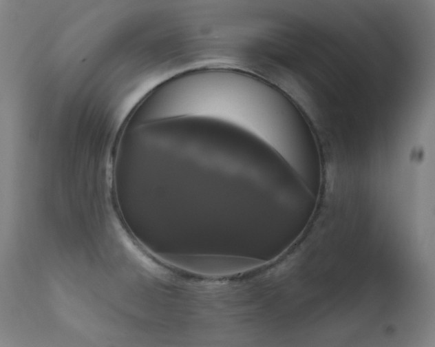 X0000111461428200907131444
