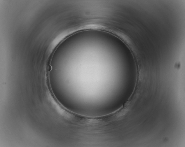 X0000111461430200907131444