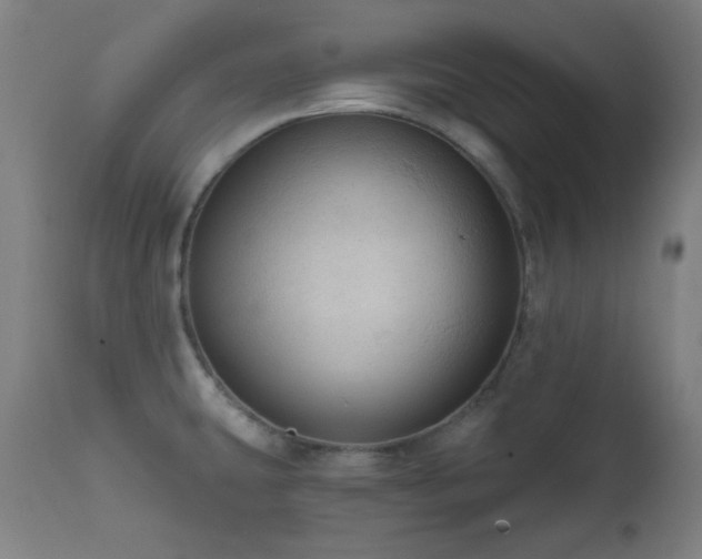 X0000111461431200907131444