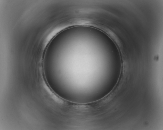 X0000111461432200907131444