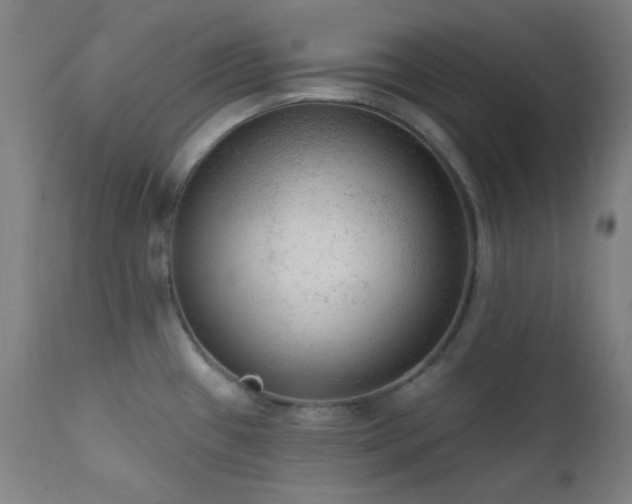 X0000111461433200907131444