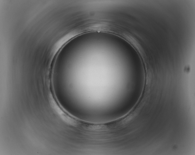X0000111461434200907131444
